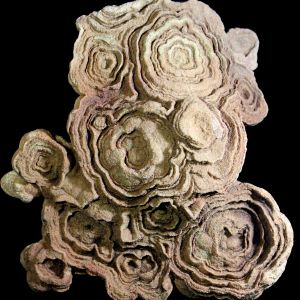 Stromatoli_Maroko_70